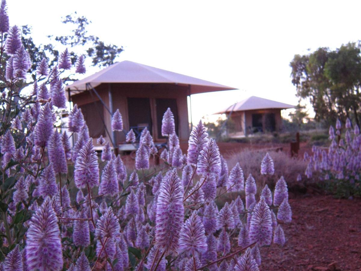 Karijini Eco Retreat 3* Karijini National Park