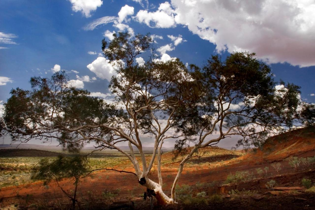 Karijini Eco Retreat