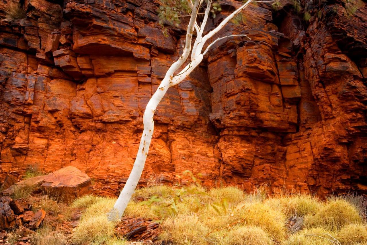 Karijini Eco Retreat